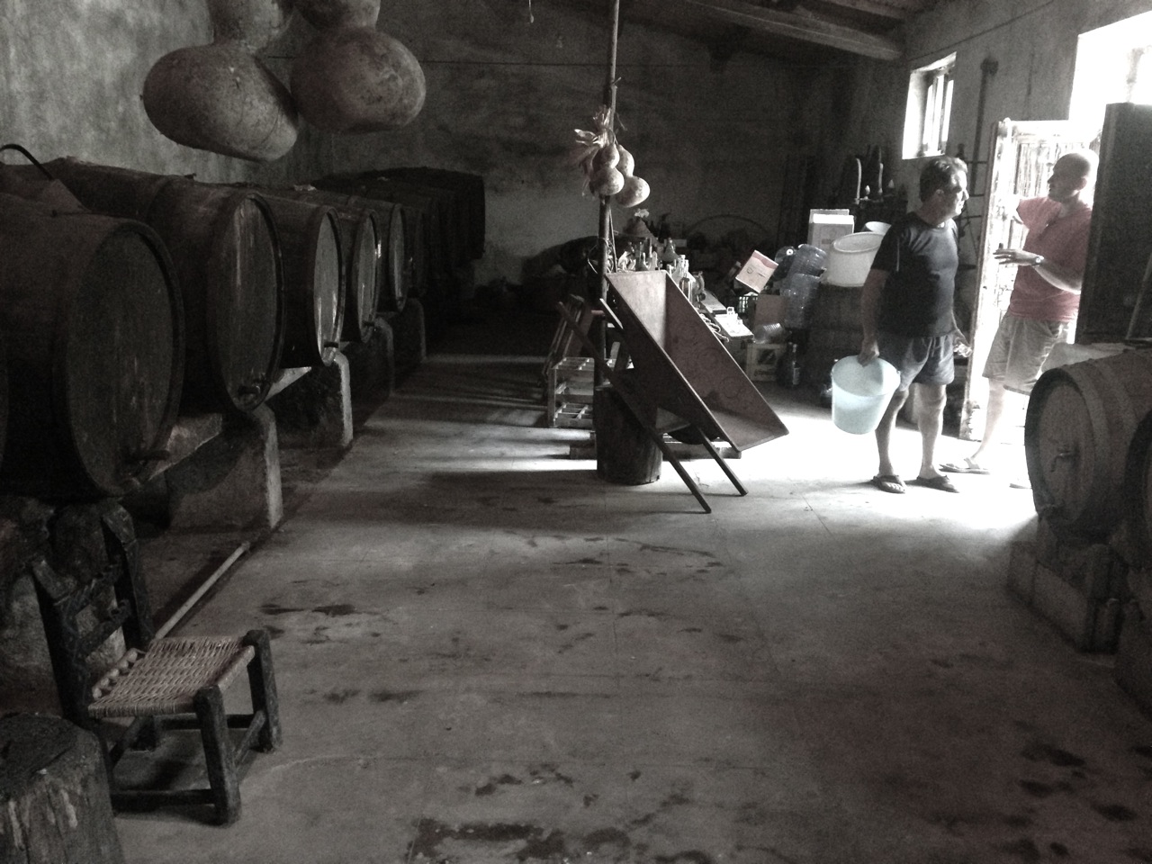cantina orro