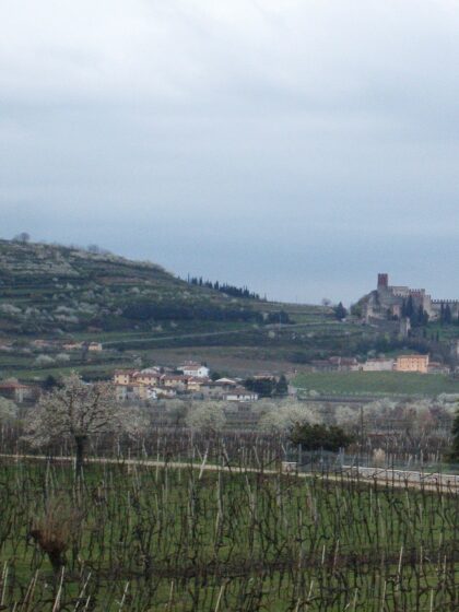 L’Amarone e il Recioto